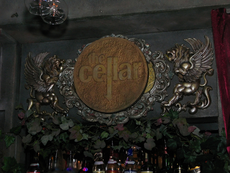 Once upon a Dream at the Cellar Nightclub by Raj Taneja